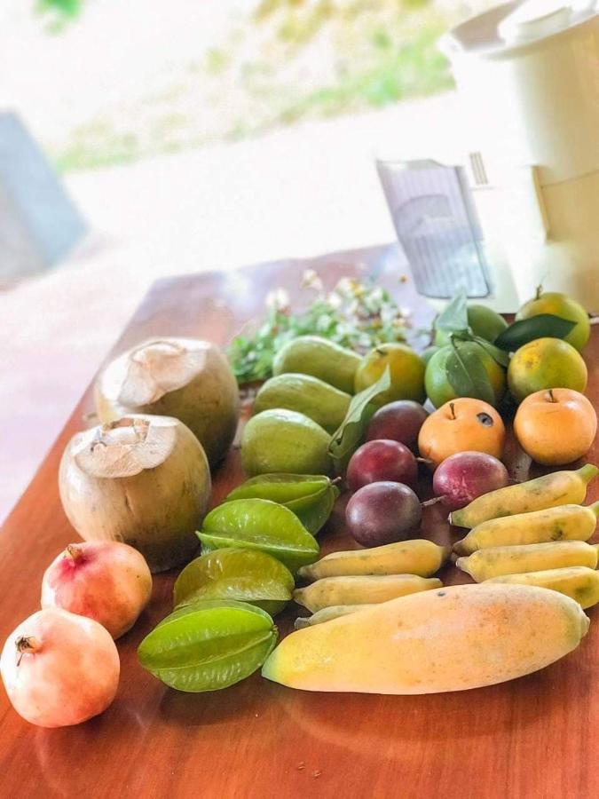 Pai Bjooc Homestay Tuyen Quang Экстерьер фото