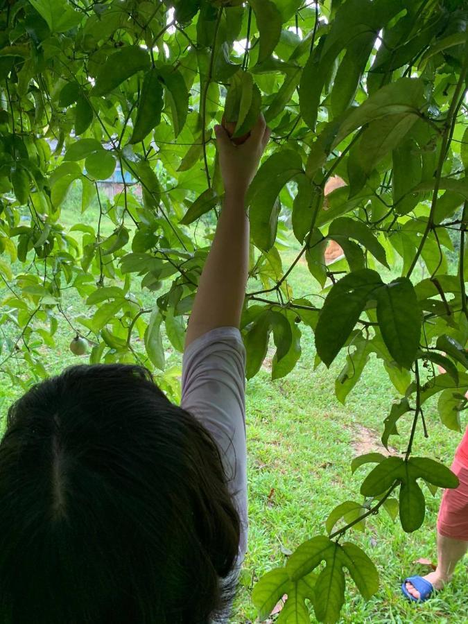 Pai Bjooc Homestay Tuyen Quang Экстерьер фото