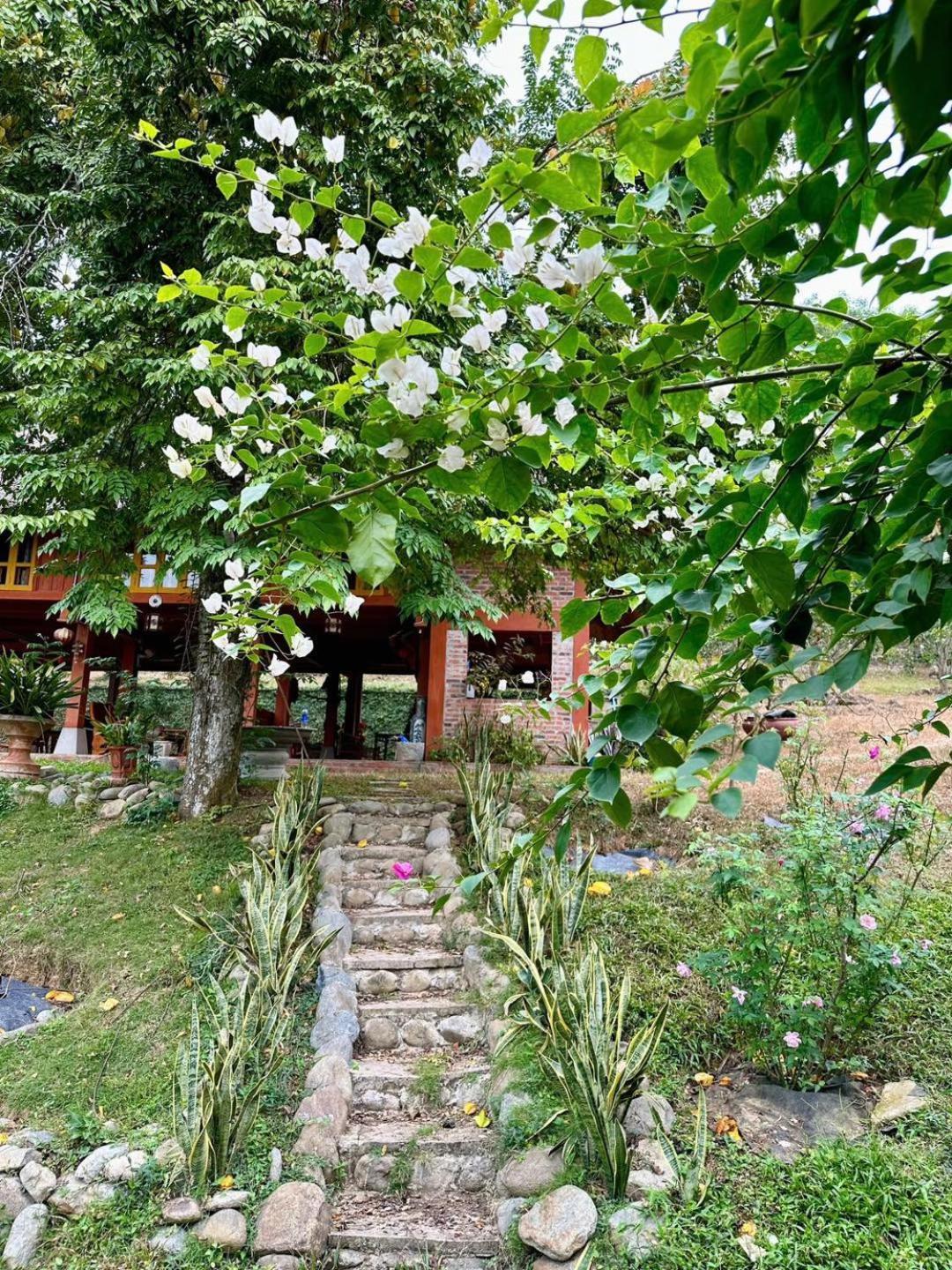 Pai Bjooc Homestay Tuyen Quang Экстерьер фото