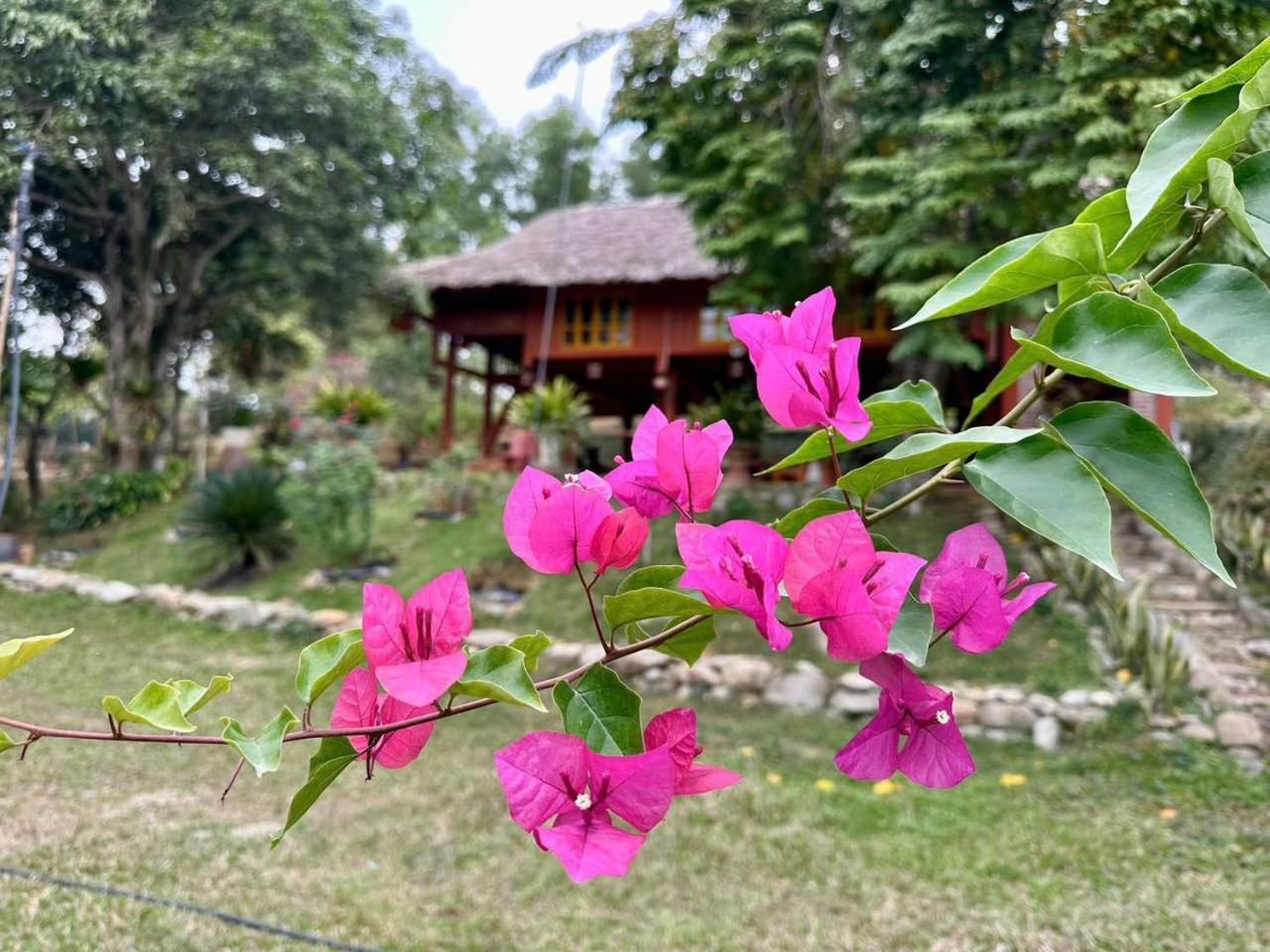 Pai Bjooc Homestay Tuyen Quang Экстерьер фото